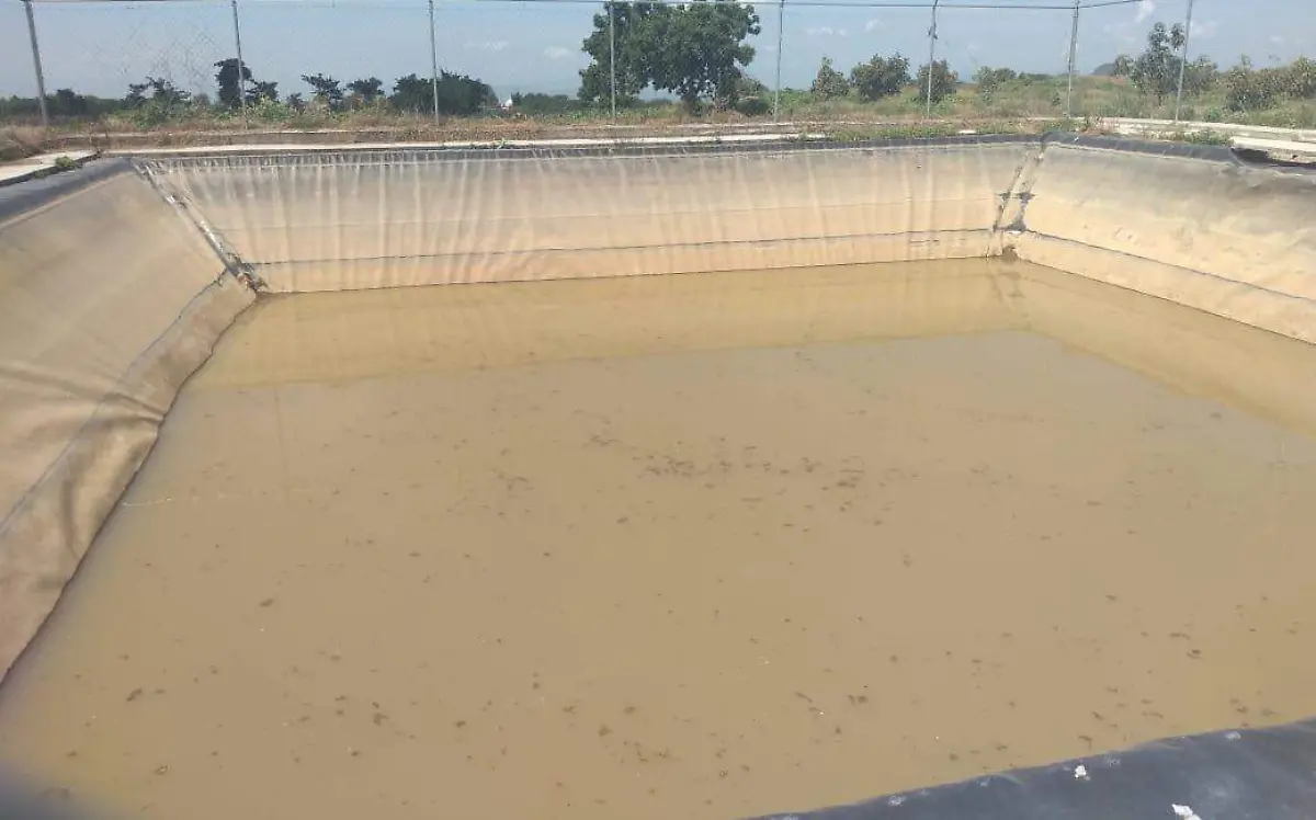 Tener las cantidades suficientes de agua para la cosecha es indispensableROSAURA HERNÁNDEZ